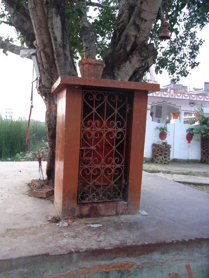 فندق Momotaro House بود جايا المظهر الخارجي الصورة